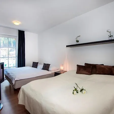 Graceful Penthouse With Terrace Apartment Bad Gastein