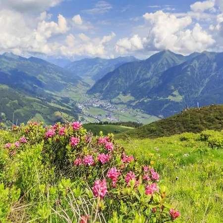 Penthouse In Near Lifts Appartement Bad Gastein